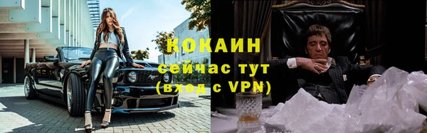 ГАЛЛЮЦИНОГЕННЫЕ ГРИБЫ Медвежьегорск