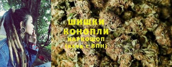 ПСИЛОЦИБИНОВЫЕ ГРИБЫ Медногорск