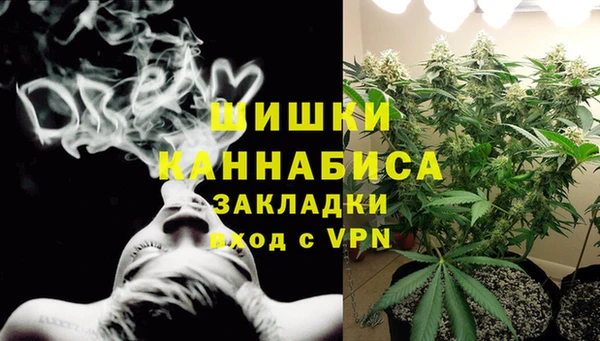 ПСИЛОЦИБИНОВЫЕ ГРИБЫ Медногорск