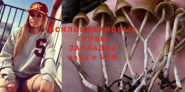 первитин Мегион