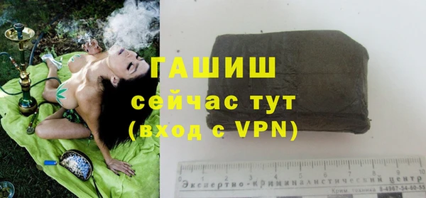 ГАЛЛЮЦИНОГЕННЫЕ ГРИБЫ Медвежьегорск